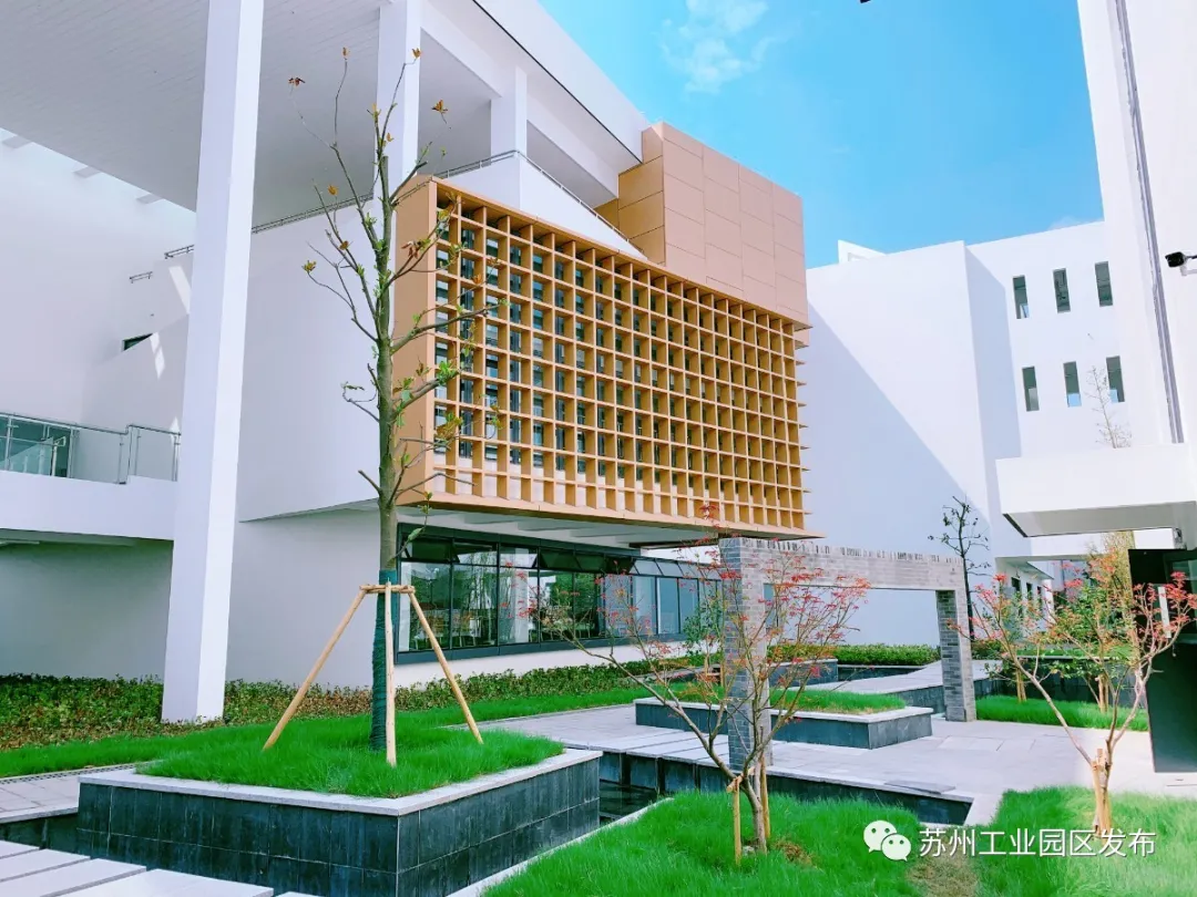 喜迎开学季，园区这些新校启用