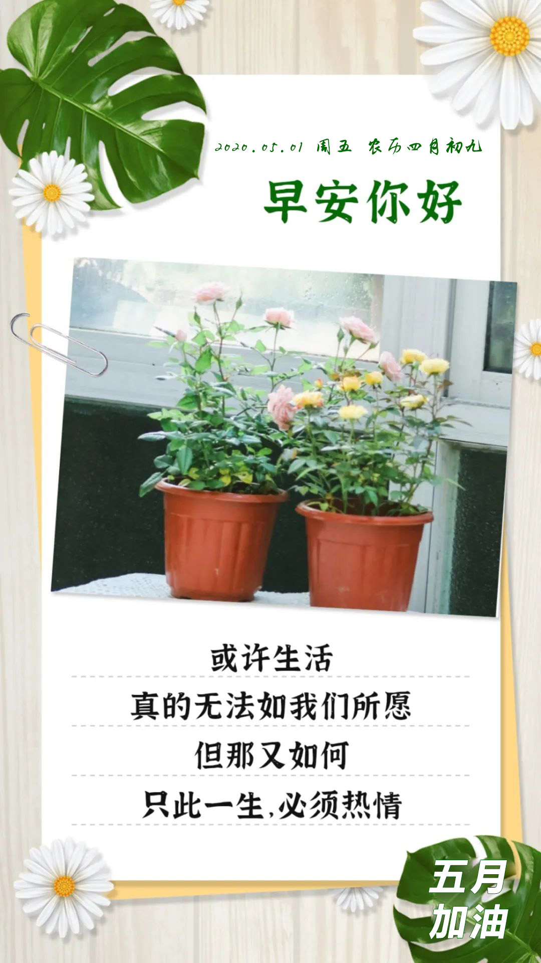 五月你好海报图片配图大全加文字，5月你好发朋友圈的简短说说文案