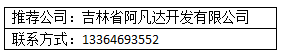 定制APP和模板APP的区别与优劣势