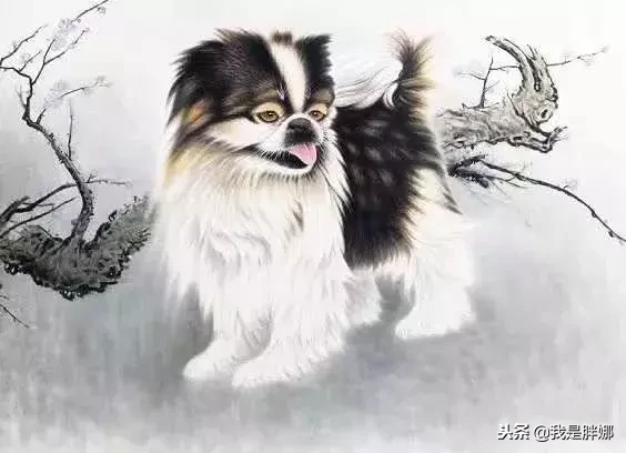 爱情海枯石烂,彼此之间生活幸福长久的三大属相!