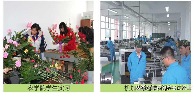 魅丽校园行之-榆林职业技术学院