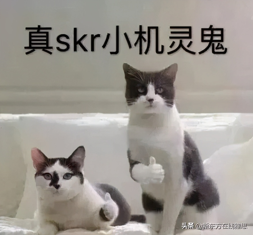 说出来你可能不信，我是因为教授好看才确定去这所学校留学的