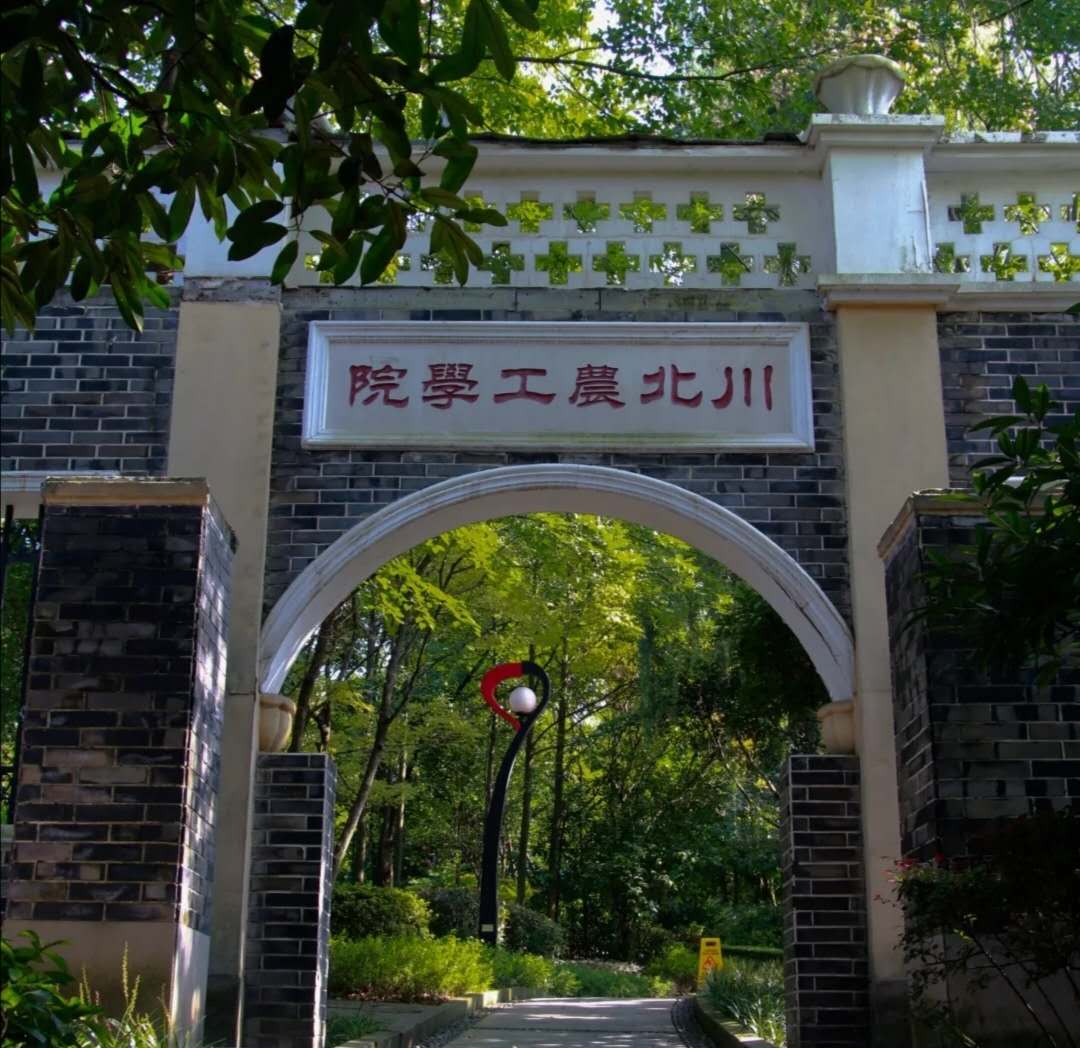 四川师范大学网球专业(四川师范大学2020年四川省本科一批分专业录取分数统计)