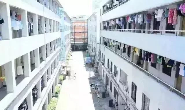 高职高考必看｜全面了解广东技术师范大学