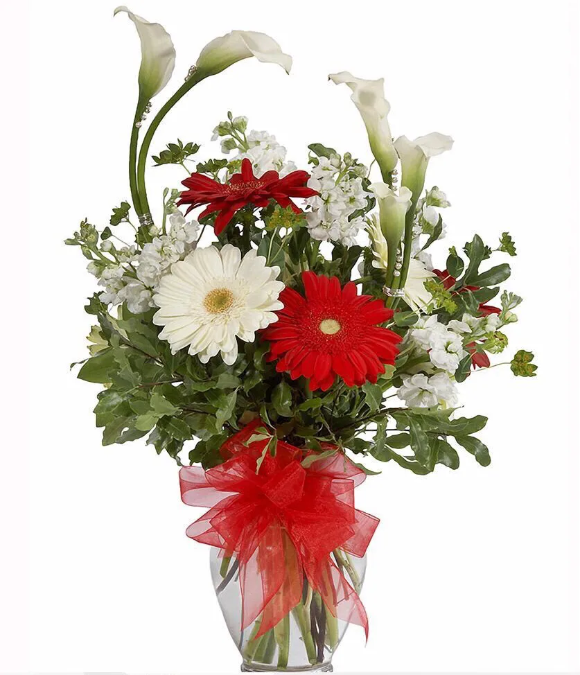 《江畔独步寻花七绝句》其一 杜甫