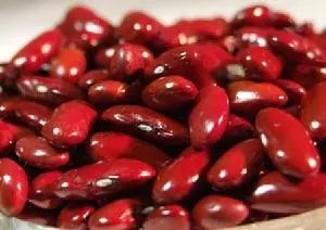 中国城市｜黑龙江—齐齐哈尔