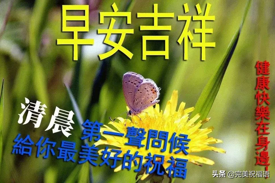 夏蝉叫杨柳飘，夏日风光无限好；轻风闹白云飘，潇洒自在到处跑