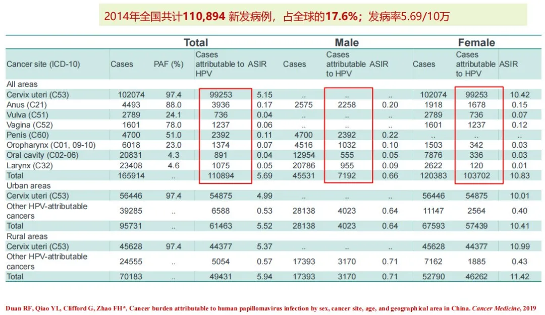 派特灵生物分享《全球和中国HPV感染性疾病的现状和负担》