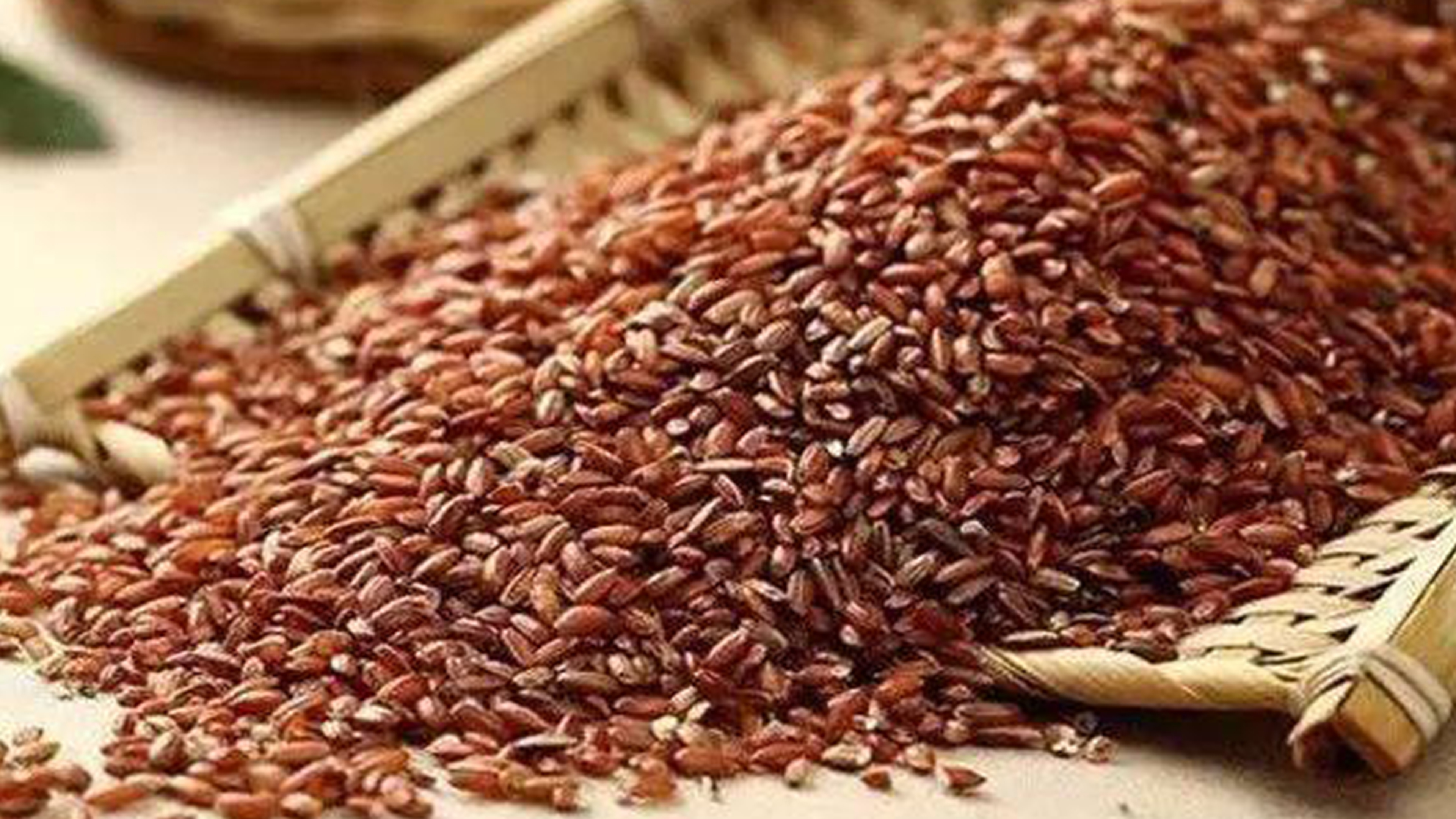 2019美食中国十大好吃米饭，有你家乡的味道吗？你知道哪些米好吃