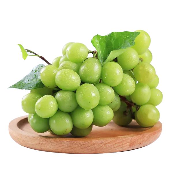 晴王葡萄之所以这么贵,是因为晴王葡萄味道好,产量低,种植难度大.