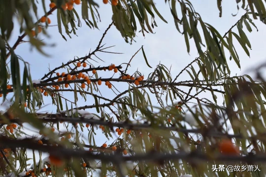 中国最北大学在哪里？