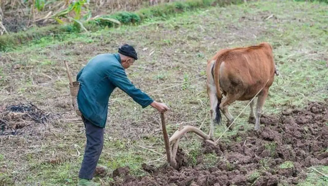 1400万学生申请了1600亿，这是中国最成功的贷款