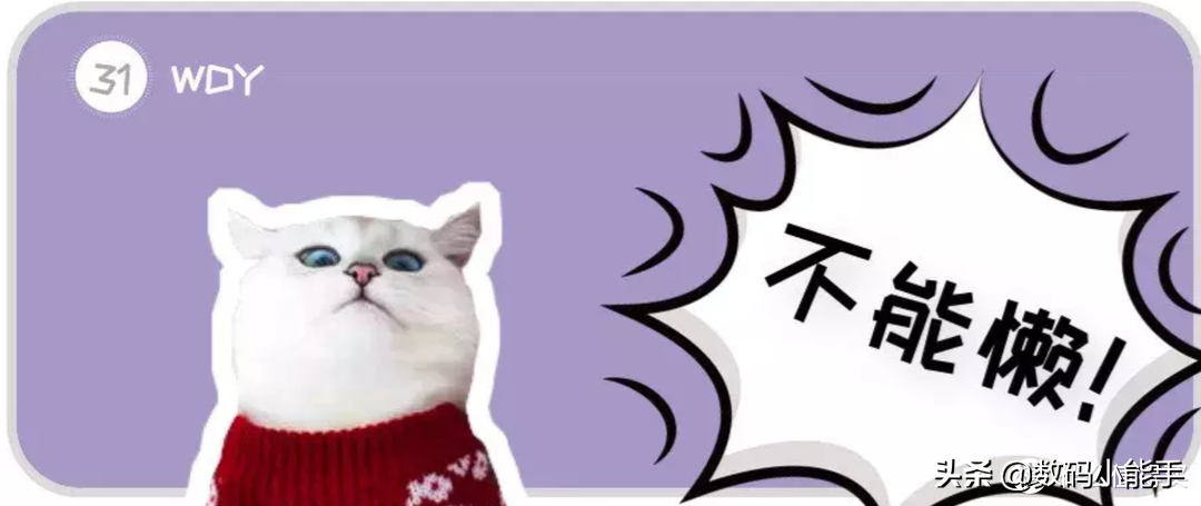 铲屎官，准备领回你的宠物吧！盘点中国十大最受欢迎的猫狗CP