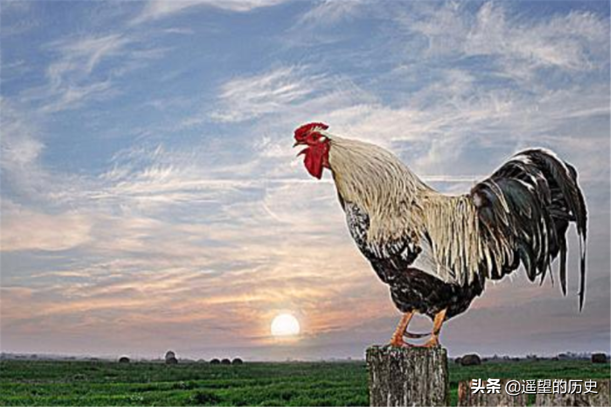 古人言：一更人、二更火、三更鬼、四更贼、五更鸡，是什么意思？