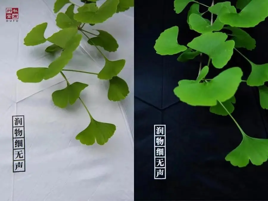 秋雨绵绵|执伞细雨中,漫步草堂间