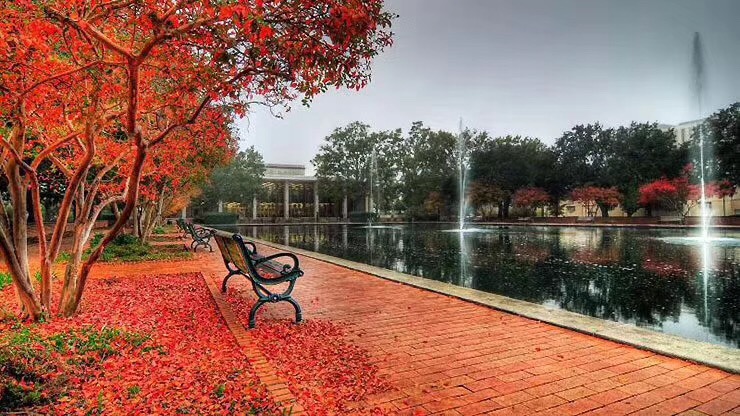 高考705分被清华录取，曾经倒数第一的他，靠这4点成功逆袭