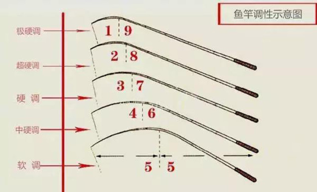 钓鱼新手怎么选择鱼竿？听听十年钓龄的高手怎么说，3分钟变精通