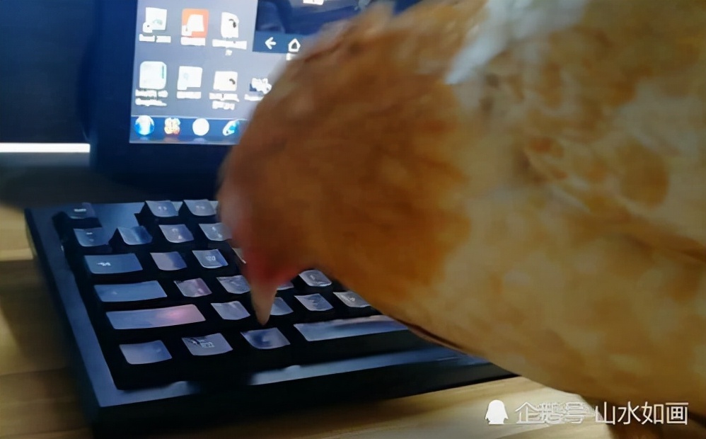 轻松一刻：关于泻火，我有话说