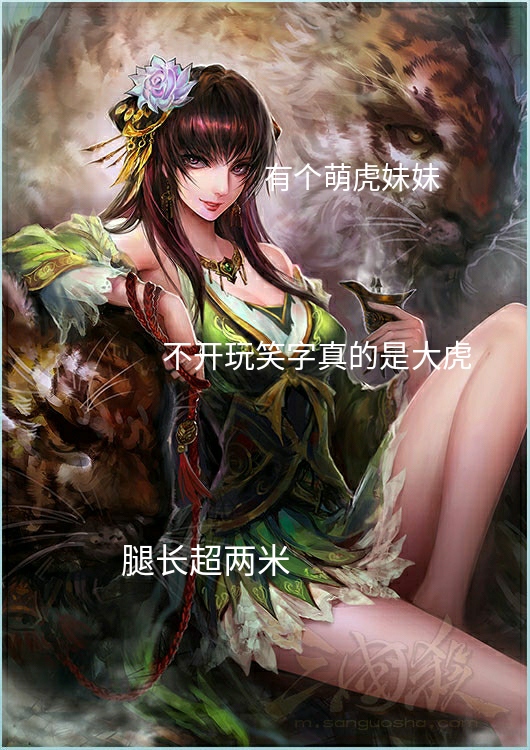 虎虎生威！三国杀里真正的“五虎上将”！