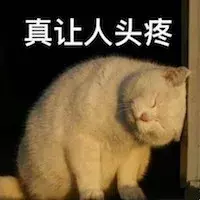 给猫咪看病那么贵,宠物医院做的这些检查项目到底有没有用?