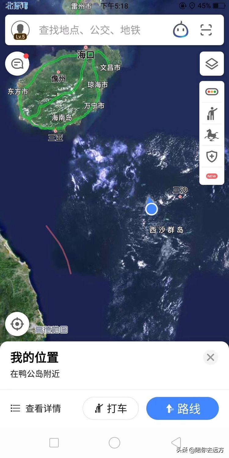 西沙~南海中的一片莲