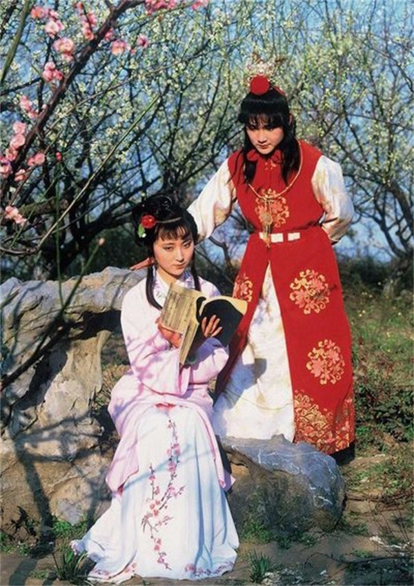 在贾宝玉父母的眼里,如果选择一个人作为妻子的话,薛宝钗从各个方面来