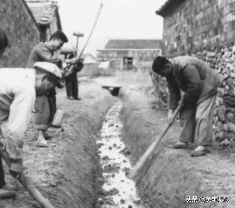 1950年，农民给毛主席写信反映血吸虫病的危害，主席：坚决消灭它