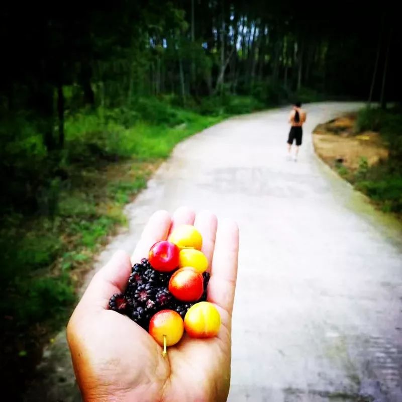 散文随笔●淡淡的乡愁