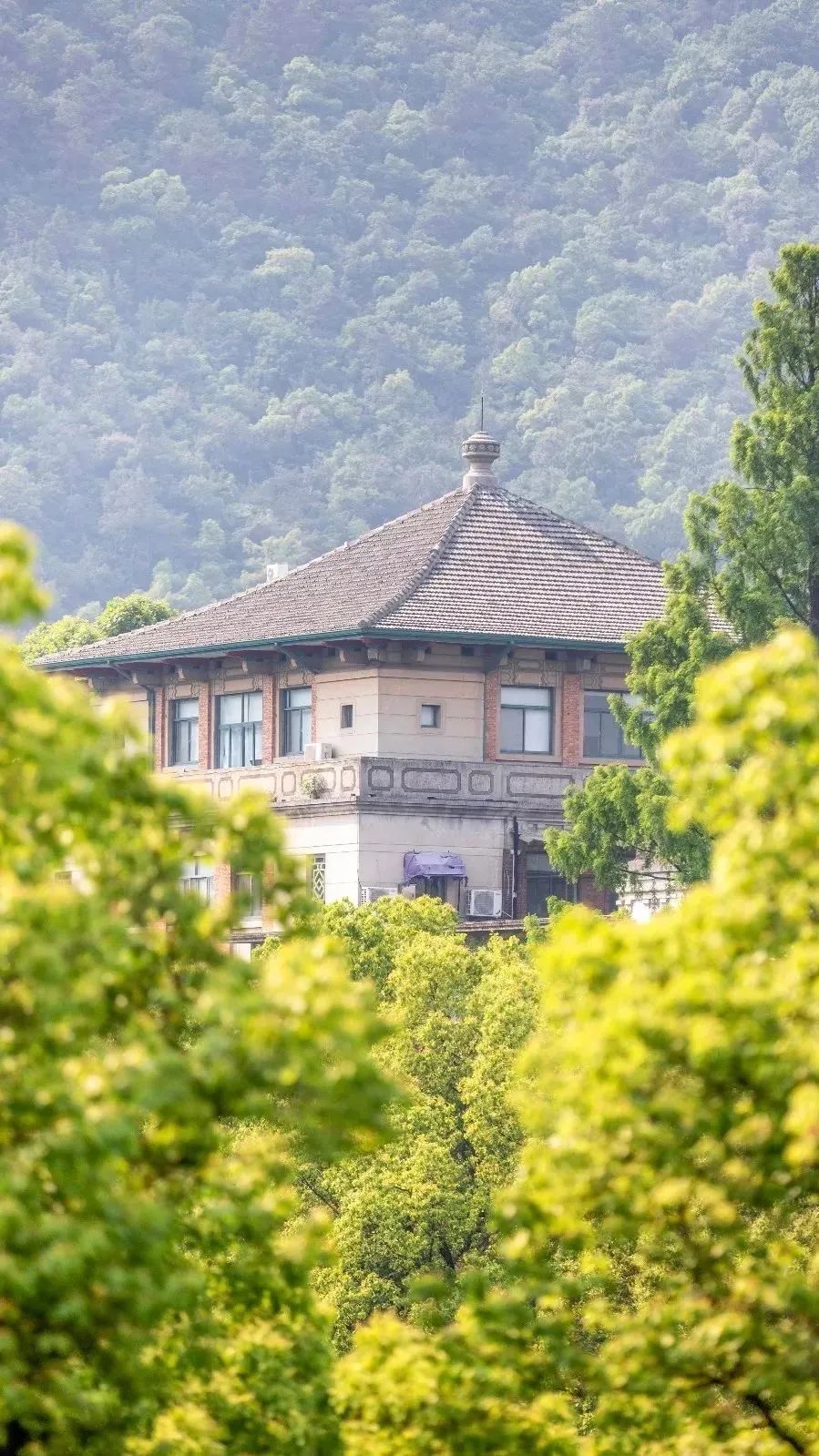 你的理想大学，终于被做成了手机壁纸