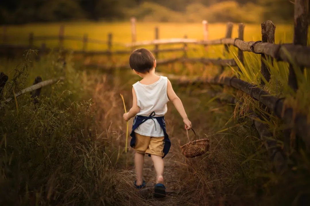 今天的饭，吃着吃着眼泪就下来了