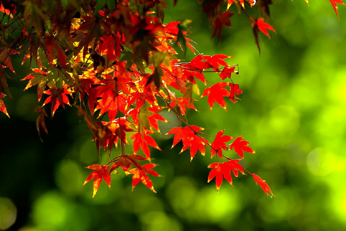 秋，人生最美的季节
