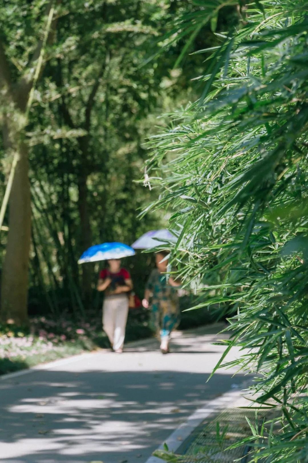 深圳宝安免费足球场(啊啊啊啊啊深圳7号线也太好玩了)