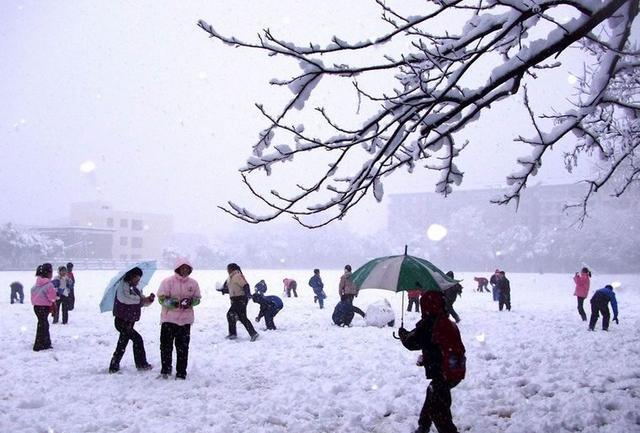江西抚州这6所高中，实力强口碑好，有两所还进入全国百强