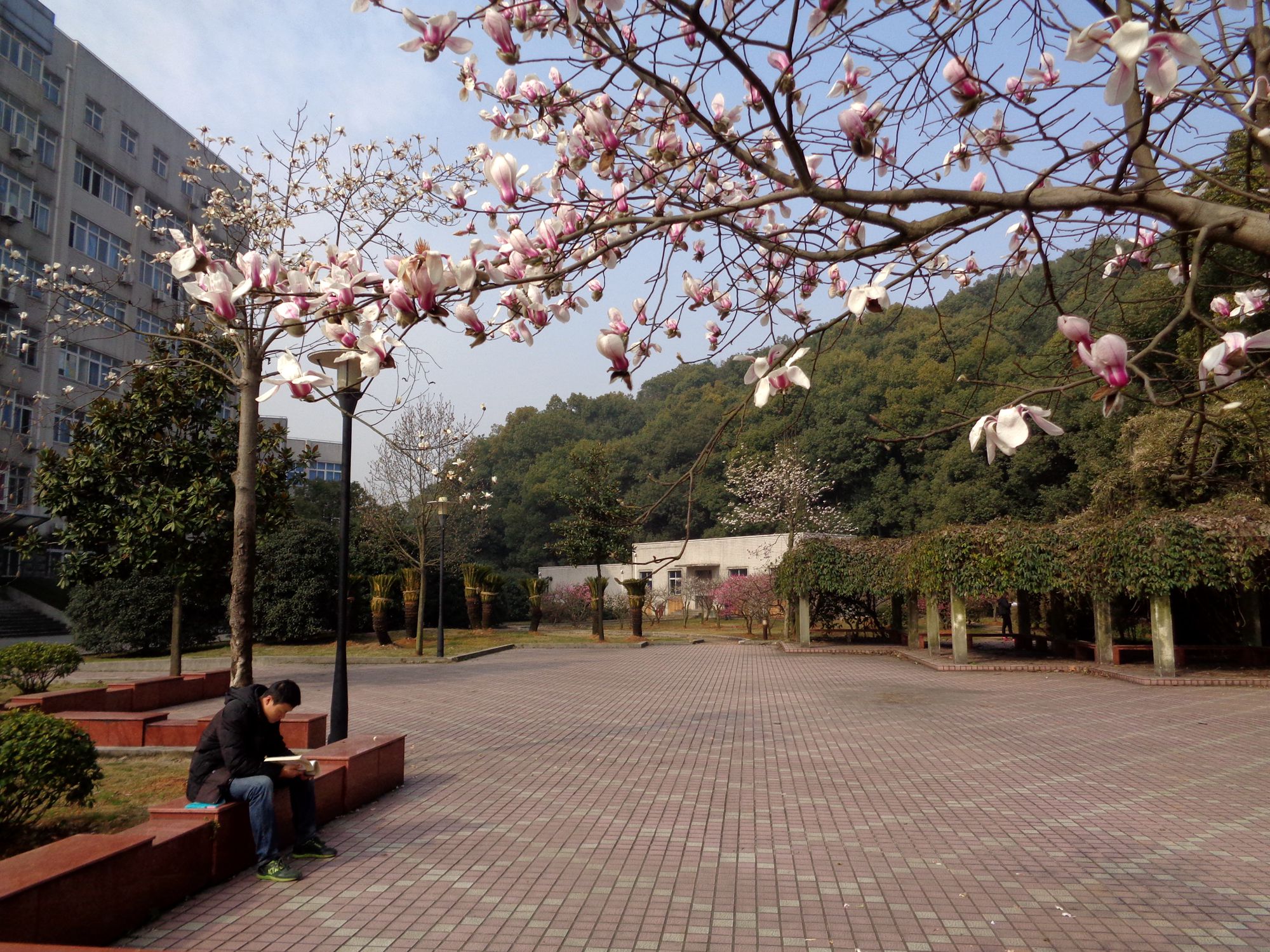 省级直属师范大学排名前20的院校，安徽师大、河南师大没在省会