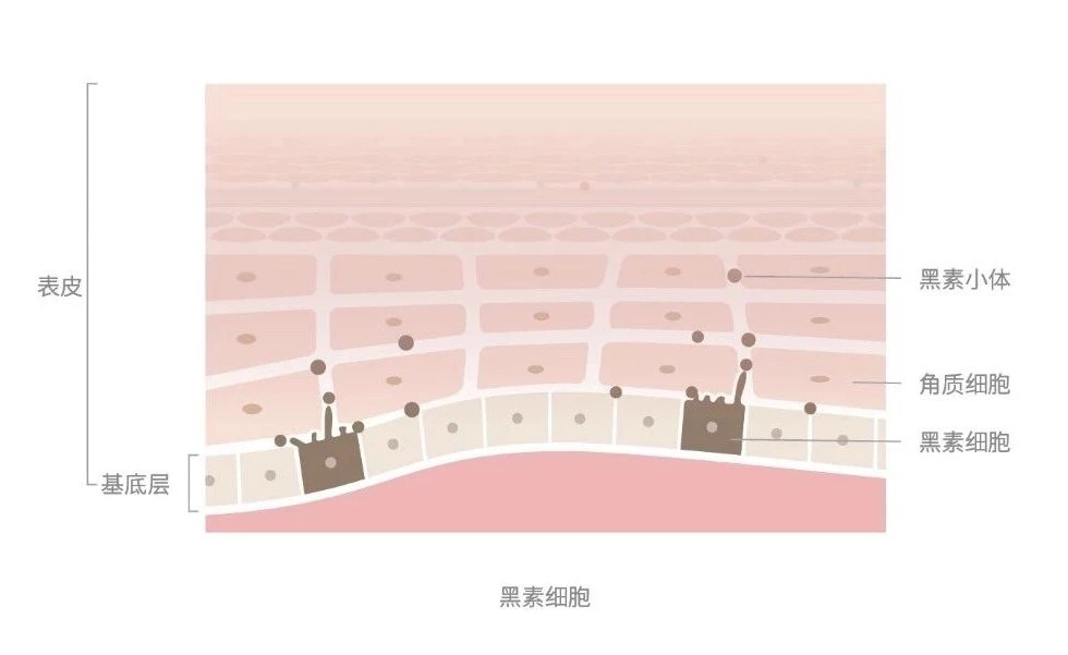 黑色痘印太烦恼？3步彻底去除印痕，恢复白嫩水光肌