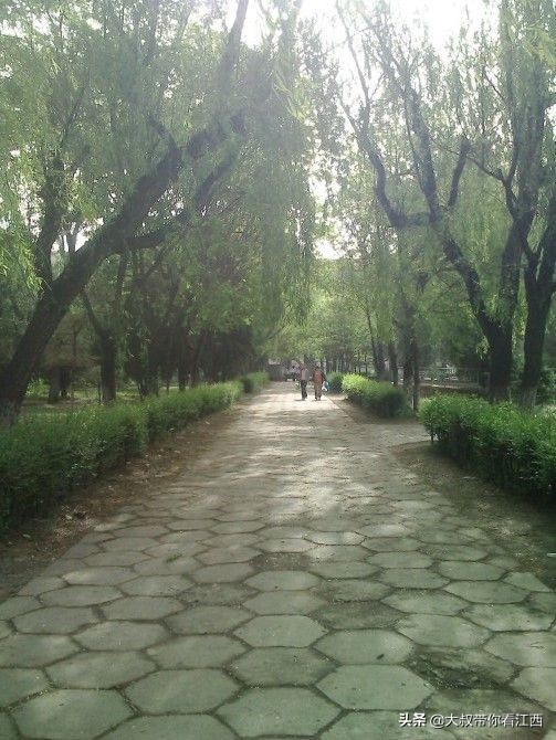 大同医专校园回忆