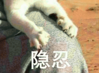 表情包：日常吸貓（awsl）