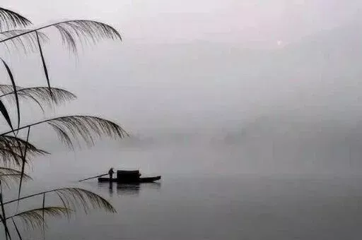 12首垂钓诗词：春光灿烂时，垂钓江渚上