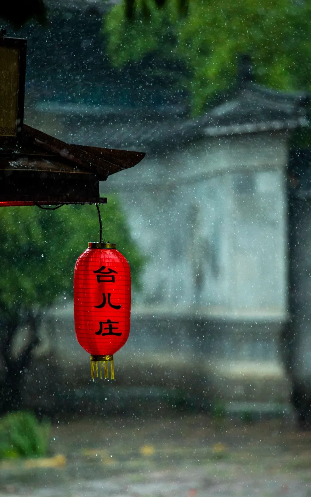 古城的雨 | 碧波画舫听雨眠，风止雨霁踏秋来