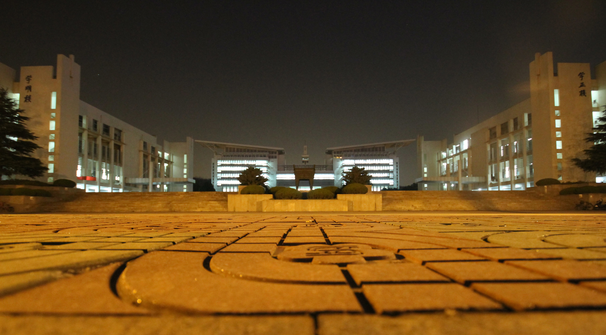 刘芳美术245分预估文化520分，能被南京师范大学录取吗？