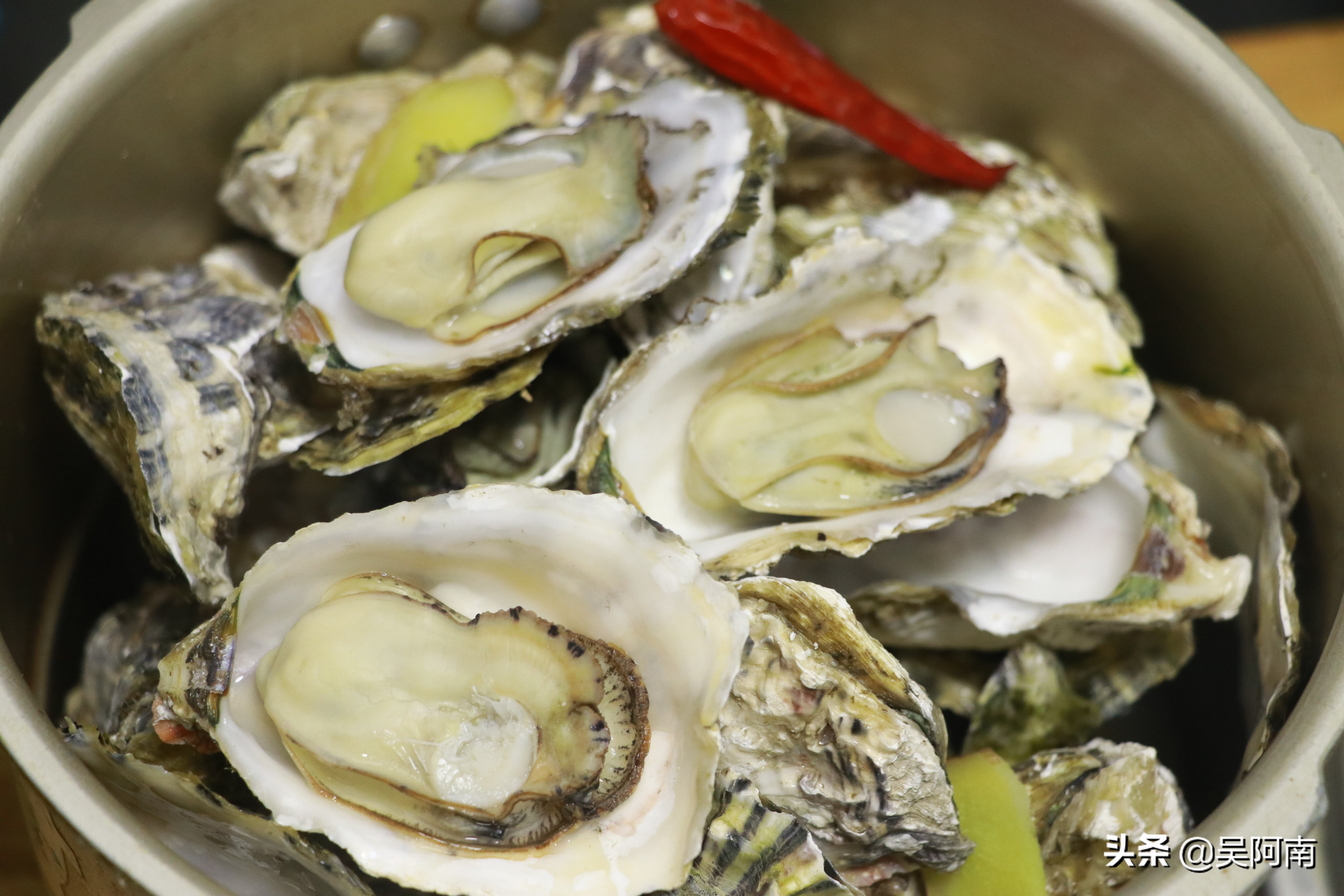 也可以看看我精心制作的美食专栏,里面记载了红烧肉,酸菜鱼,番茄牛腩