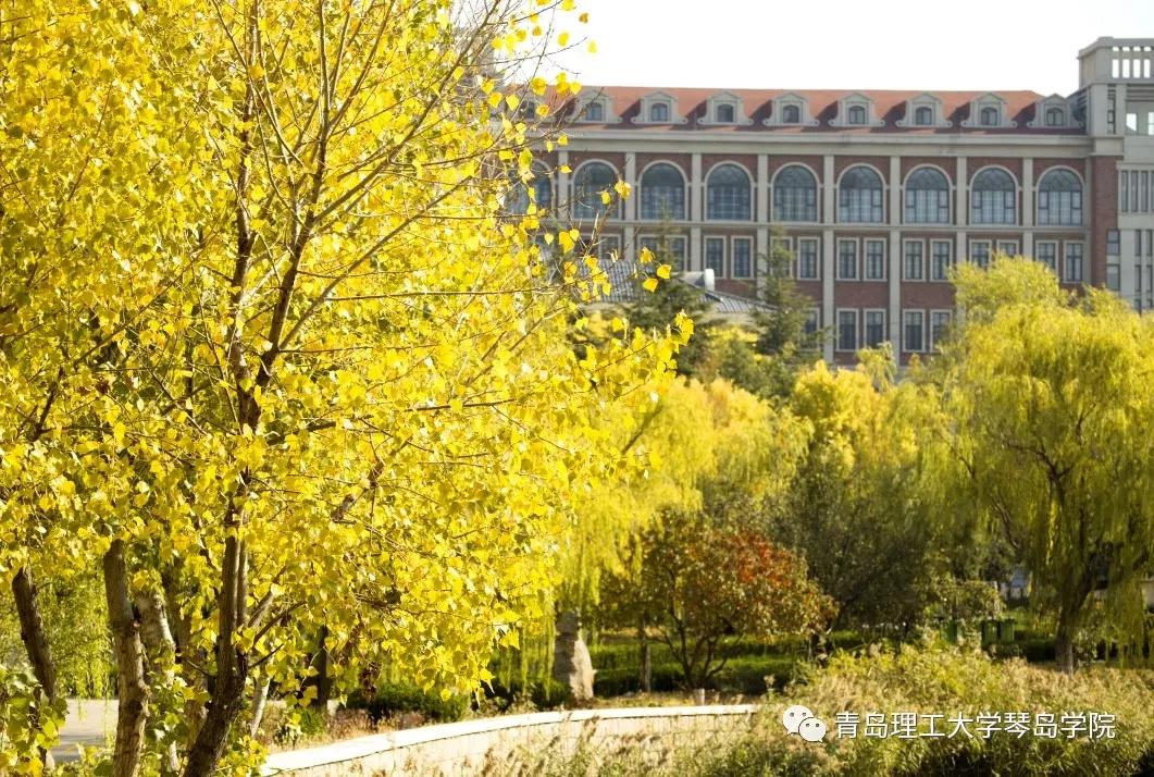 青岛理工大学琴岛学院：我把你画成画，与你平分琴院的秋色