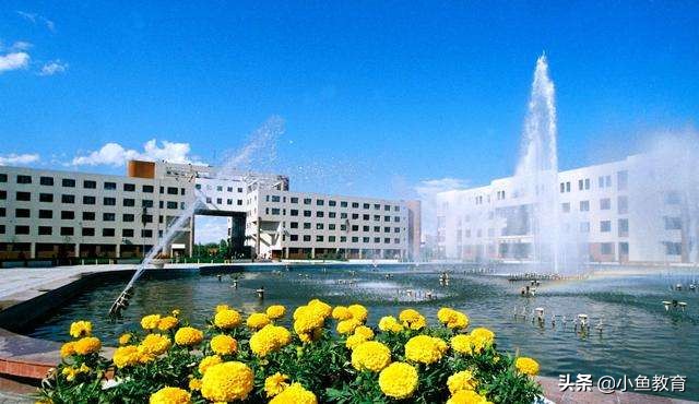 23个省中，2020年省内排名前3的大学！青海篇