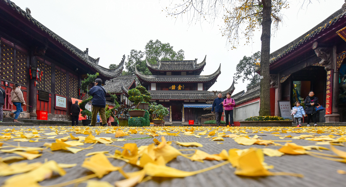 沈阳龙之梦相亲角(我知道你想去成都玩，所以精心为你准备了一份成都吃喝玩乐全攻略)