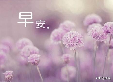 早安心语：人生，每过一段时间，都要将过去清零，让自己重新开始