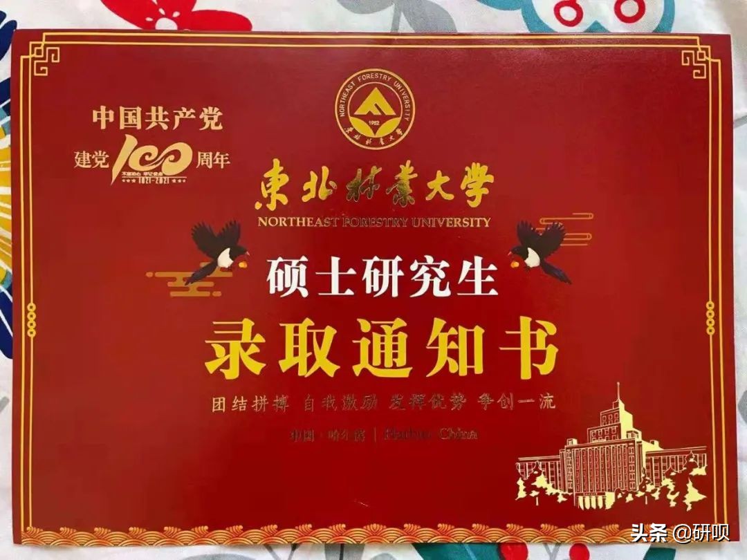 东北林业大学艺术设计/设计学（626/823）经验分享