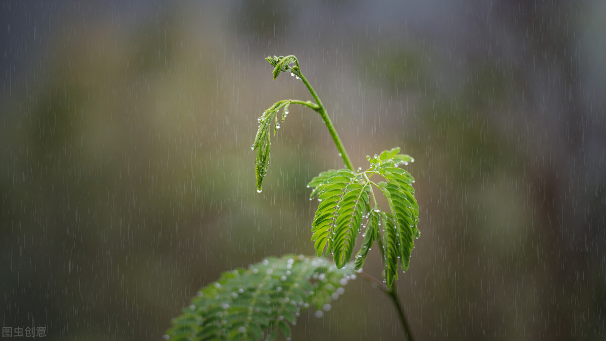 雨天唯美圖片