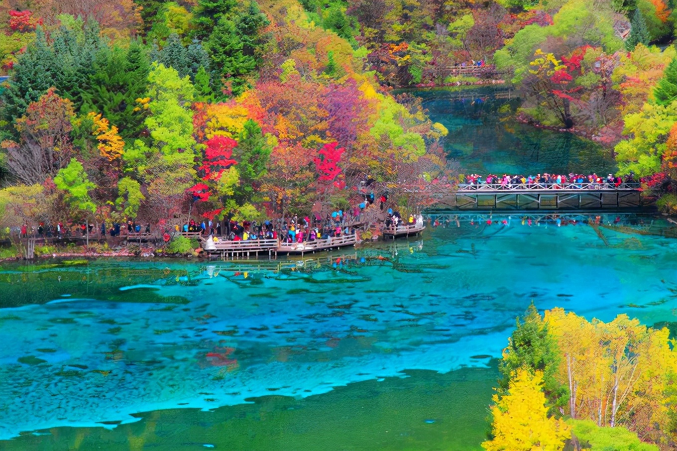 一年四季都可以欣赏到美景的好地方,我个人觉得,秋天的九寨沟值得一游