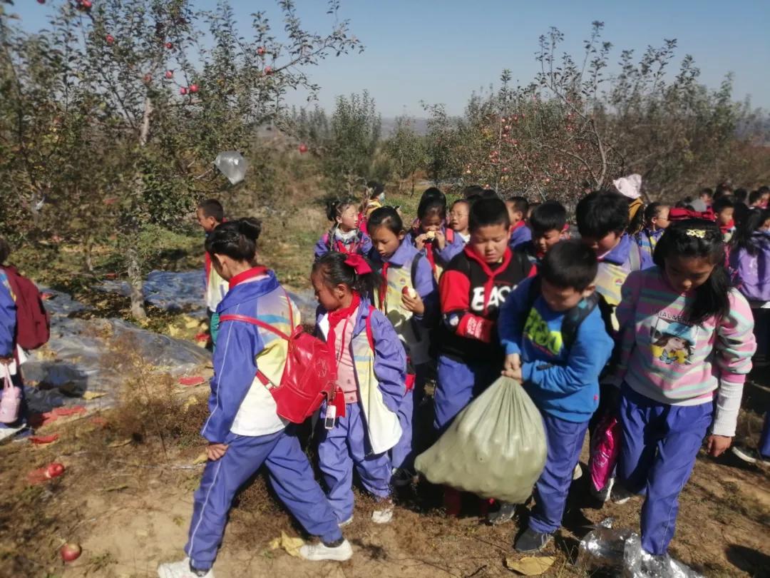 树魂立根 务实前行 延川县城关小学2020——2021学年度第一学期工作总结