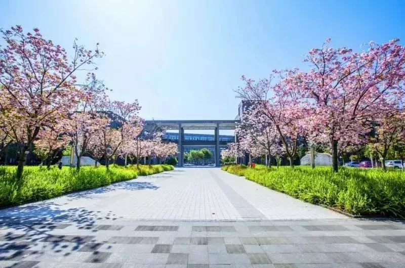 西南交通大学保研率（西南交通大学）